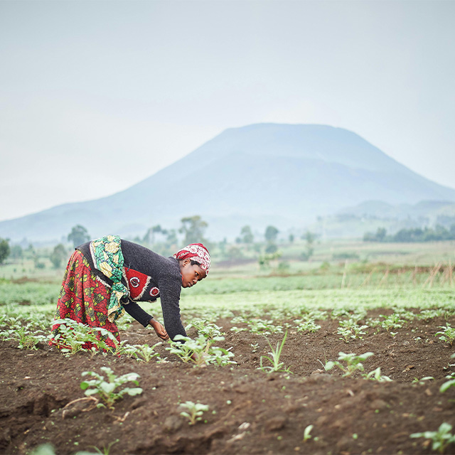 Hon Namara Dennis agriculture